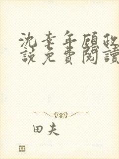 沈幸年顾政的小说免费阅读