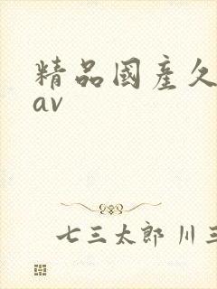 精品国产久久久av