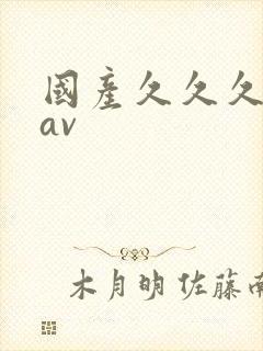 国产久久久精品av封面