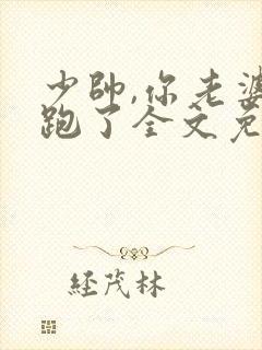 少帅,你老婆又跑了全文免费阅读封面