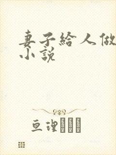 妻子给人做老婆小说封面