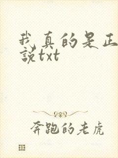 我真的是正派小说txt