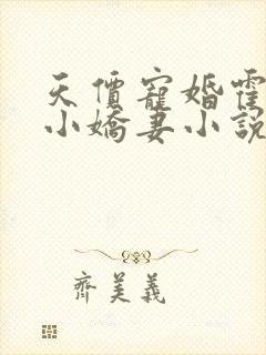 天价宠婚霍总的小娇妻小说下载