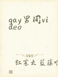gay男同video