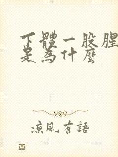 下体一股腥臭味是为什么封面