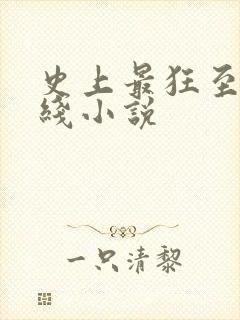 史上最狂至尊在线小说