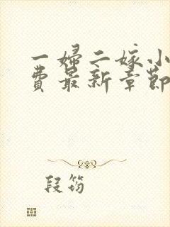 一妇二嫁小说免费最新章节封面