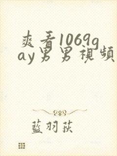 爽看1069gay男男视频