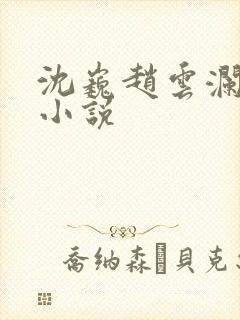 沈巍赵云澜同人小说