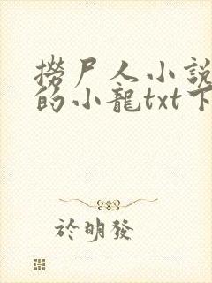 捞尸人小说纯洁的小龙txt下载封面