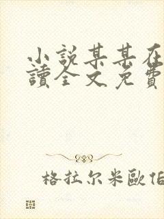 小说某某在线阅读全文免费