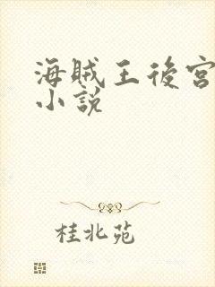 海贼王后宫同人小说封面