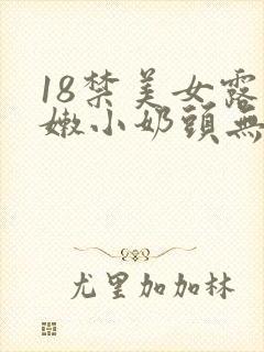 18禁美女露粉嫩小奶头无遮挡