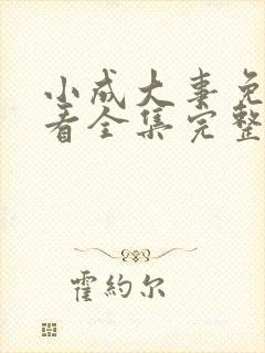 小成大事免费观看全集完整版高清