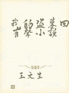 我的盗墓回忆录有声小说