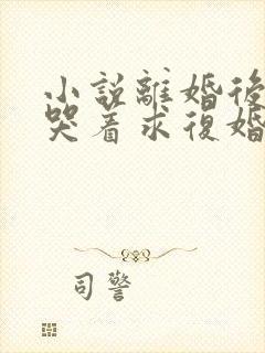 小说离婚后前夫哭着求复婚最新章节