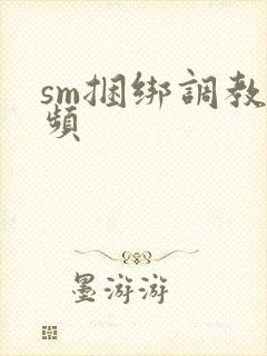 sm捆绑调教视频
