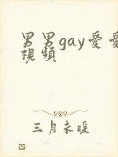 男男gay爱爱视频封面