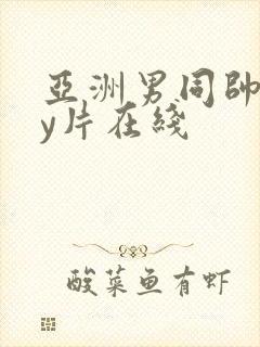 亚洲男同帅gay片在线