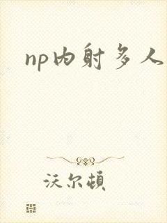 np内射多人