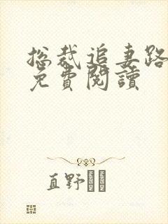 总裁追妻路漫漫免费阅读