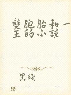 双胞胎和一个女主的小说