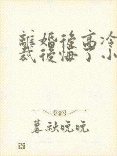 离婚后高冷女总裁后悔了小说