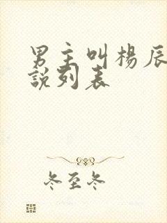 男主叫杨辰的小说列表