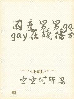 国产男男gaygay在线播放