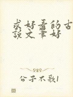 求好看的古言小说文笔好封面