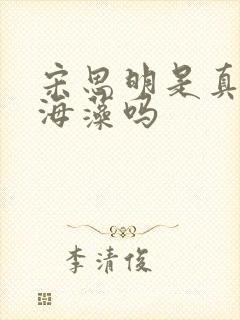 宋思明是真的爱海藻吗