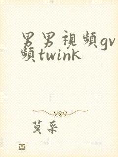 男男视频gv视频twink