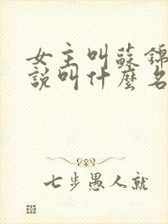 女主叫苏锦的小说叫什么名字