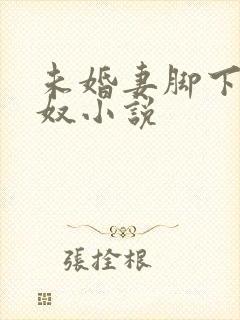未婚妻脚下的绿奴小说