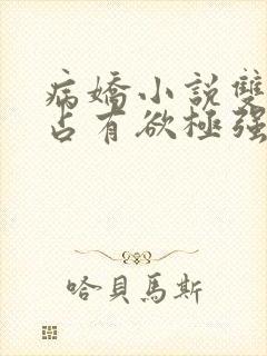 病娇小说双男主占有欲极强