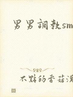男男调教sm文
