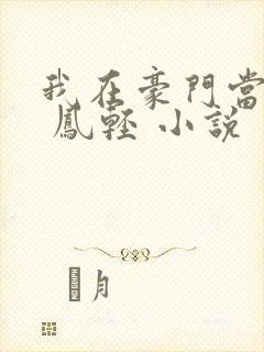 我在豪门当夫人 凤轻 小说