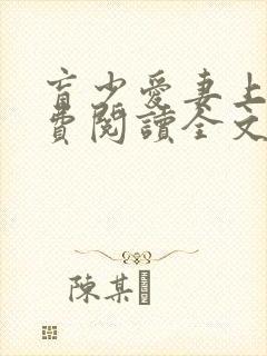 盲少爱妻上瘾免费阅读全文