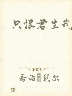 只恨君生我未生