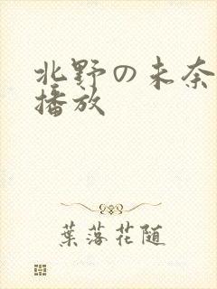 北野の未奈在线播放