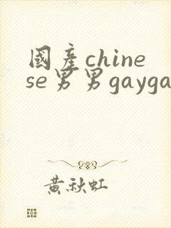 国产chinese男男gaygay网站网约封面