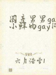 国产男男gay小鲜肉gay网站亚洲