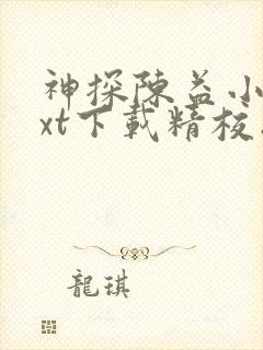 神探陈益小说txt下载精校版