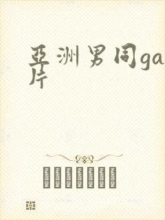 亚洲男同gay片封面