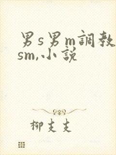 男s男m调教(sm,小说