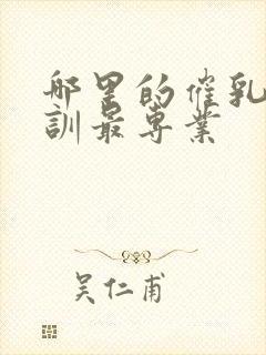 哪里的催乳师培训最专业