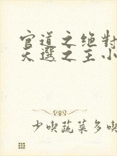 官道之绝对权力天选之主小说完本