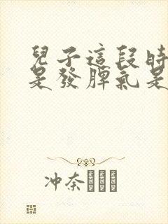 儿子这段时间老是发脾气是怎么回事