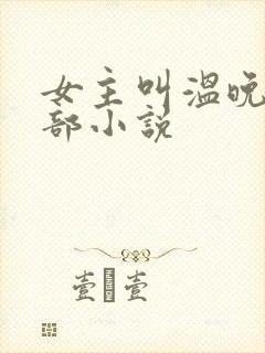 女主叫温晚的全部小说封面