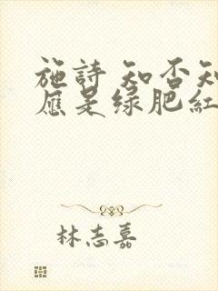 施诗 知否知否应是绿肥红瘦封面